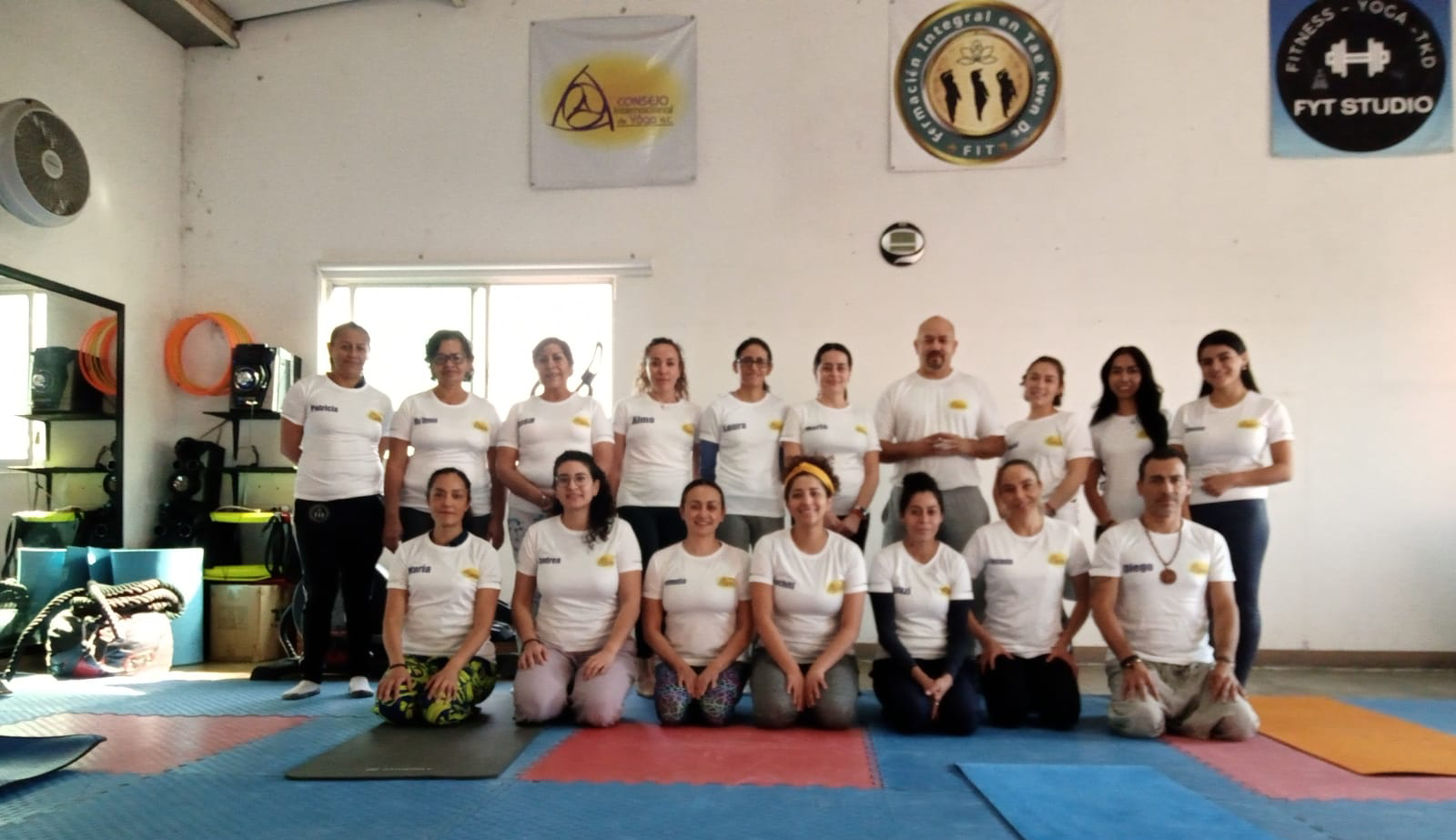 2. Cursos en Línea